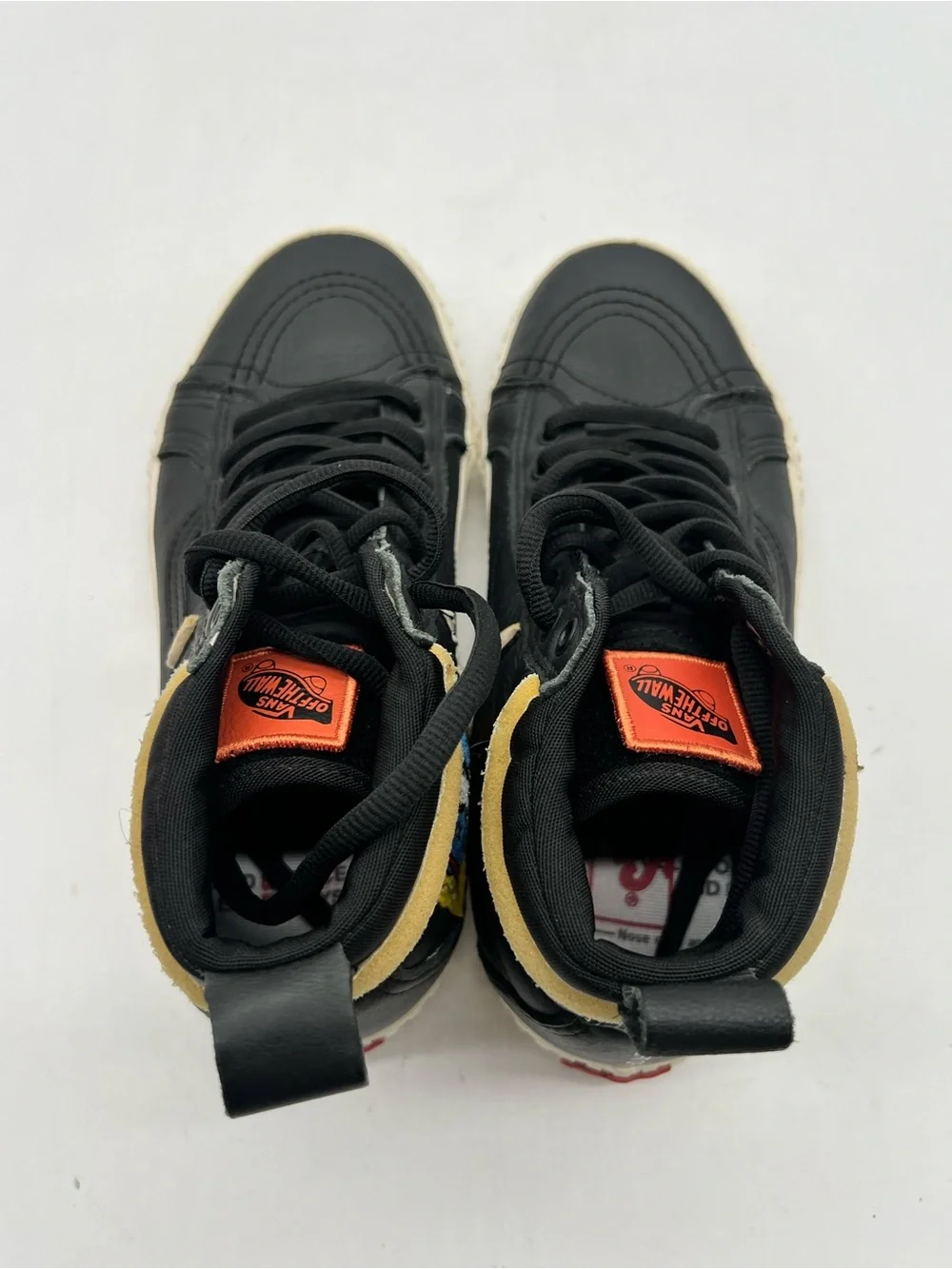 Vans nasa sk8
